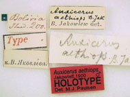 type labels