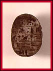 [Scarab]
