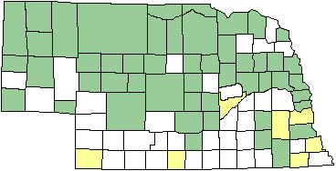 Common Baskettail map