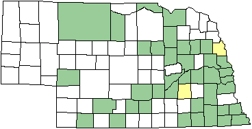 Prince Baskettail map