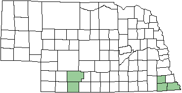 Eastern Ringtail map