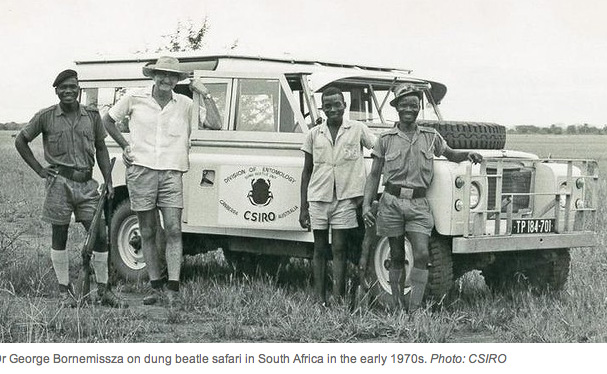 George Bornemissza on dung beetle safari in South Africa in the early 1970s. Photo CSIRO